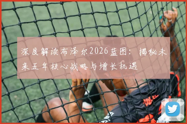 深度解读布泽尔2026蓝图:揭秘未来五年核心战略与增长机遇